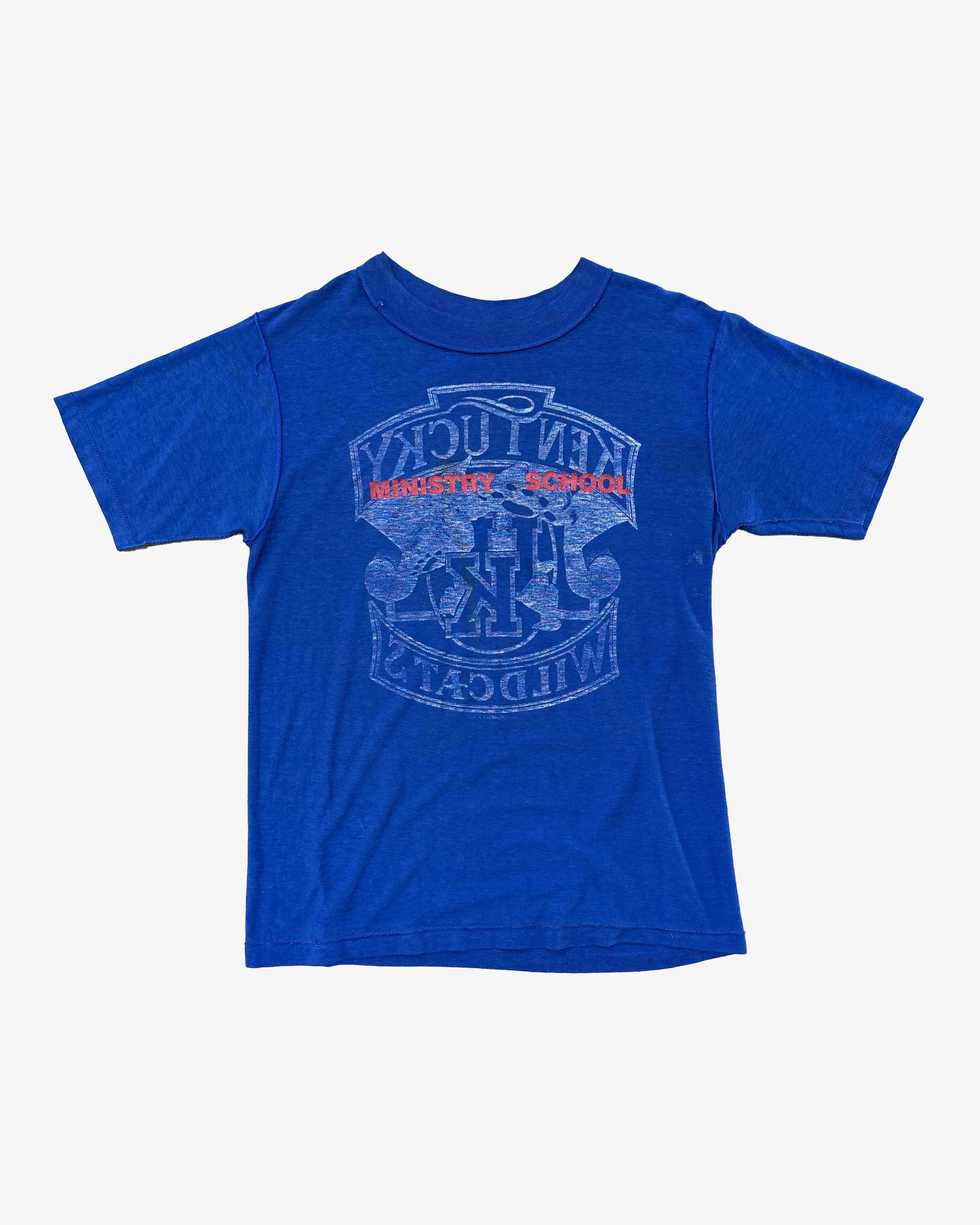 VINTAGE "BLUE WILDCAT" TEE 006